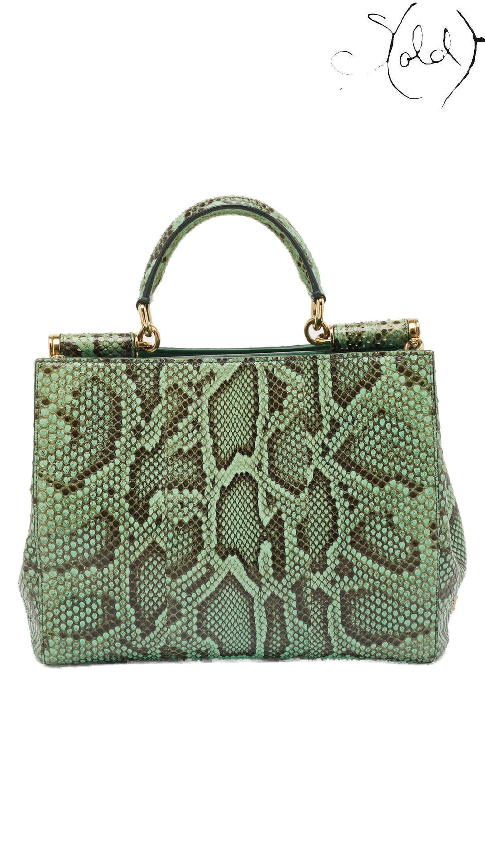 Dolce & Gabbana green python Miss Sicily tote rear view on pure white
