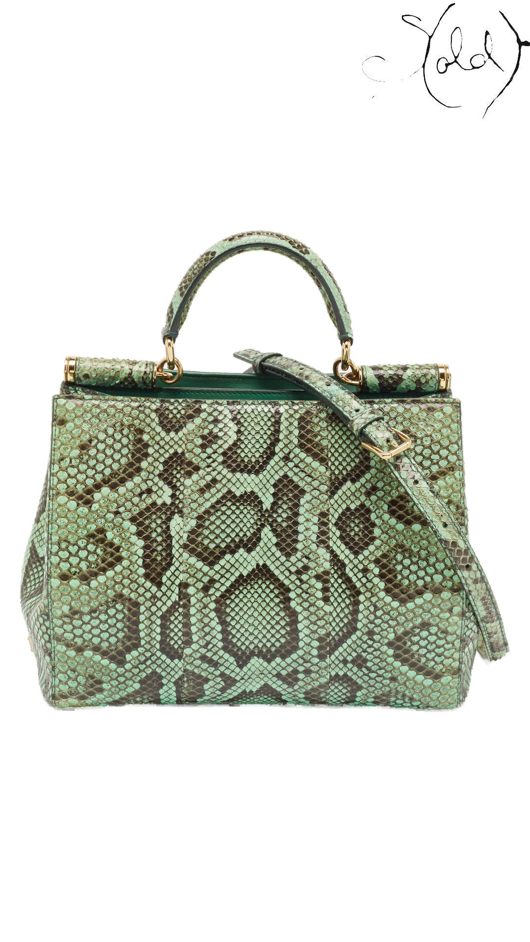 Dolce & Gabbana green python Miss Sicily tote front view on pure white
