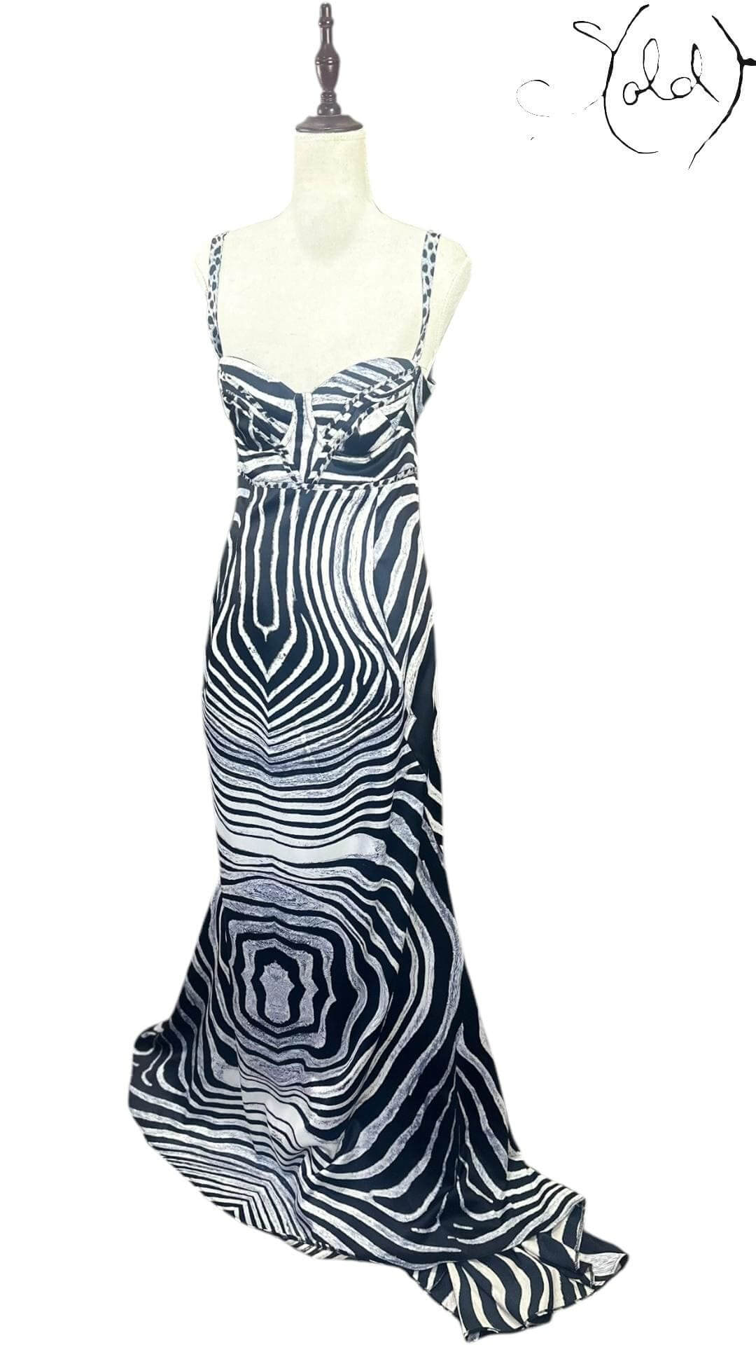 Roberto Cavalli Silk Gown – Runway Wild, Back view | Sold Attire