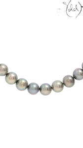 Sold Attire dark-tone Akoya cultured pearl necklace with grey, green, violet, and silver tones and an SV clasp.
