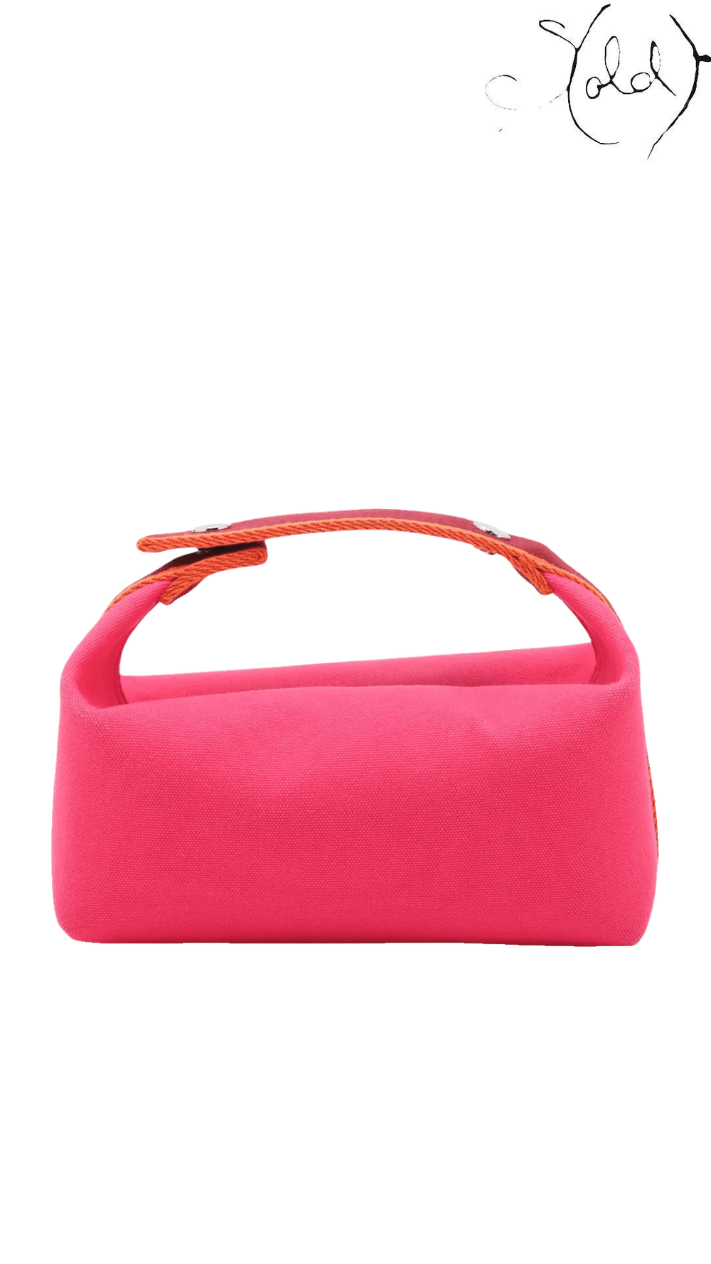 Hermès Bride-a-Brac PM pink canvas case: rear view