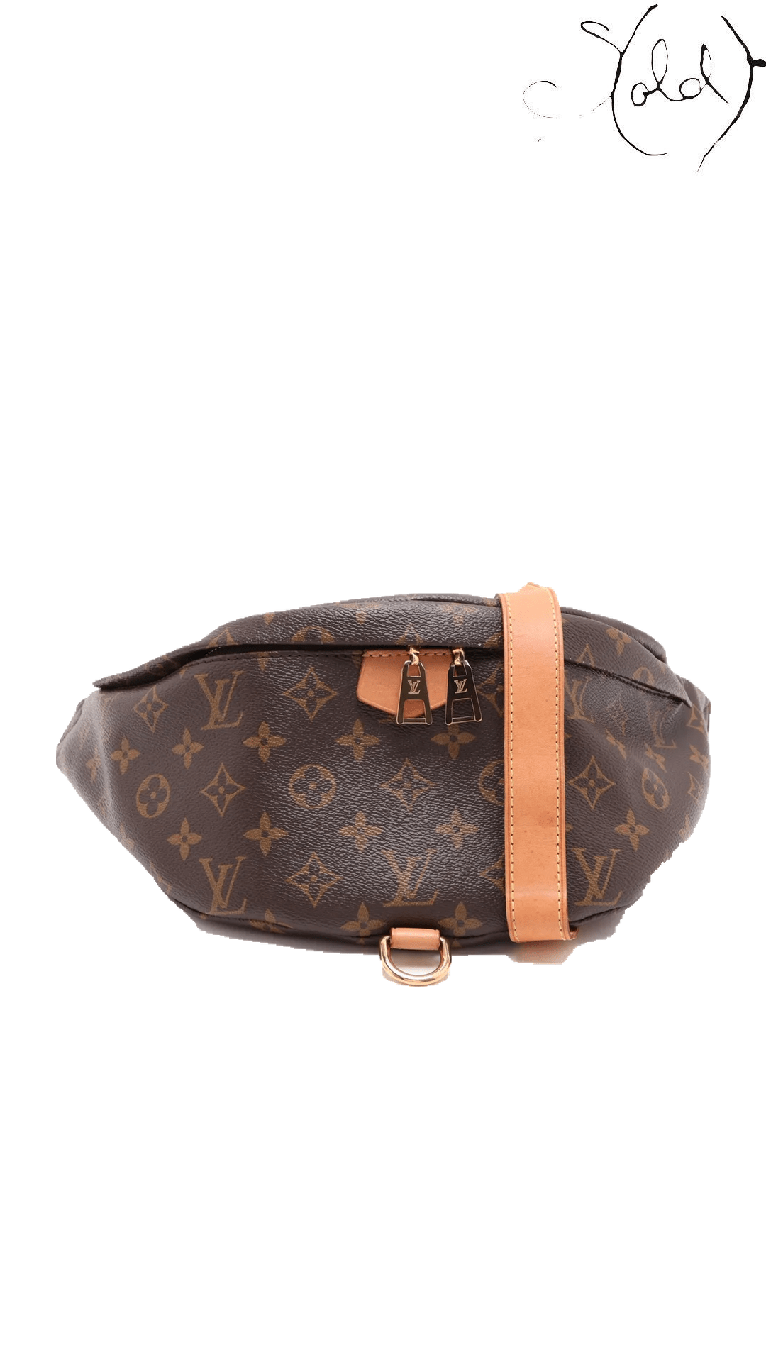 Louis Vuitton Monogram Bumbag M43644 — front whole product
