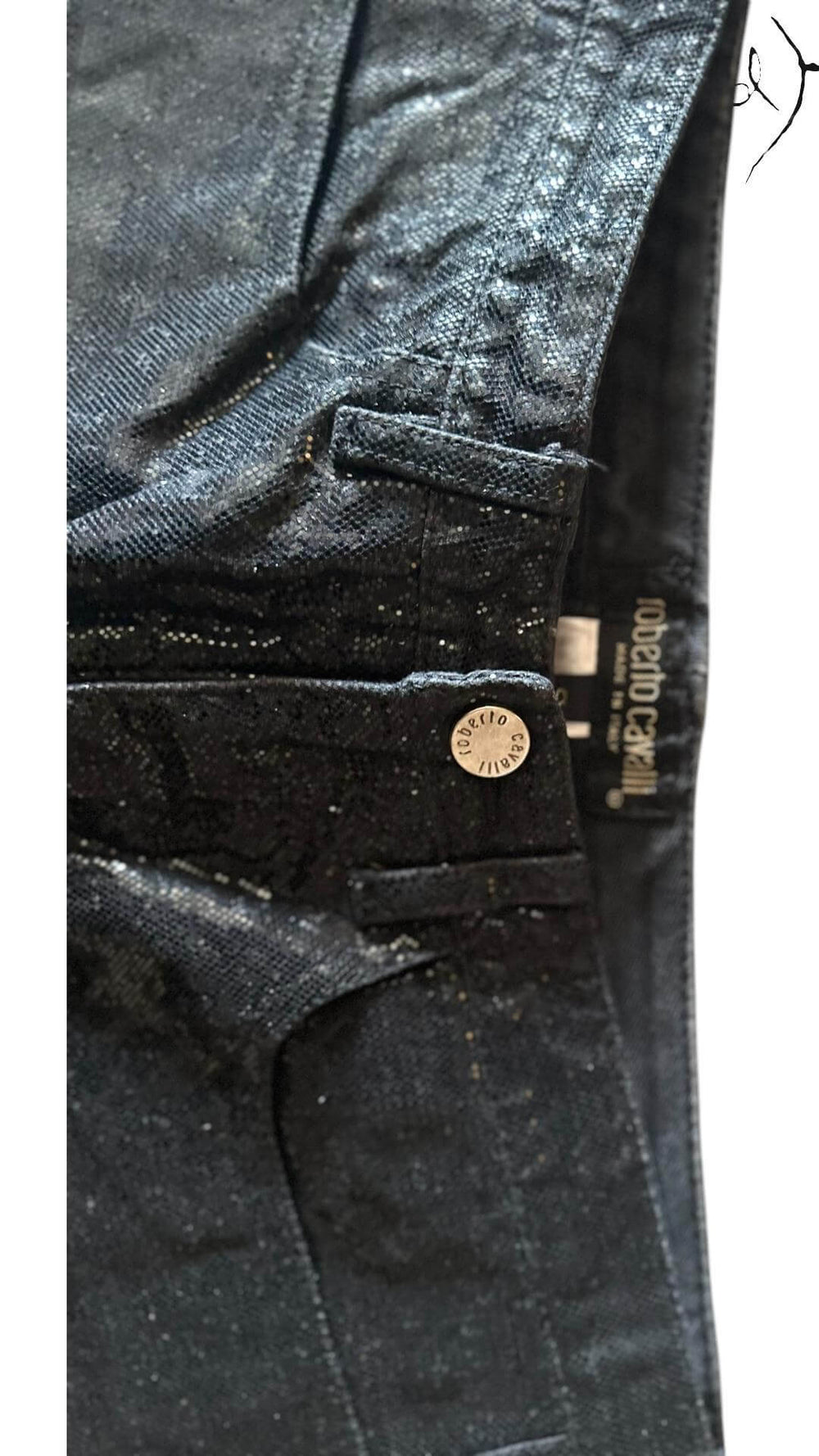 Roberto Cavalli Python Trousers – Night Luxe, Interior view | Sold Attire